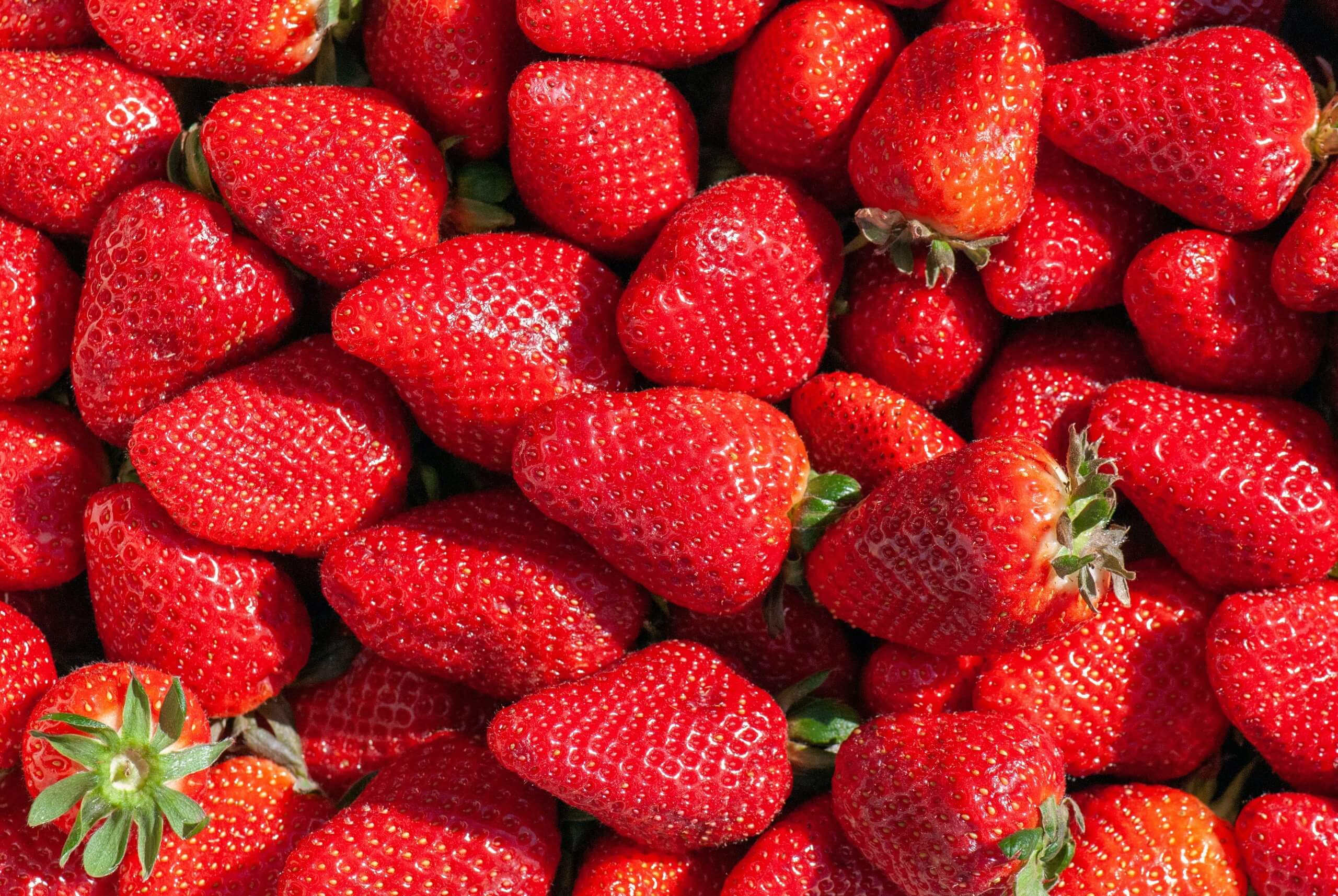 Strawberry Season in Arkansas